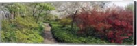 Framed Trees in a garden, Garden of Eden, Ladew Topiary Gardens, Monkton, Baltimore County, Maryland, USA