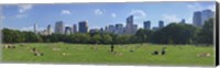 Framed Tourists resting in a park, Sheep Meadow, Central Park, Manhattan, New York City, New York State, USA
