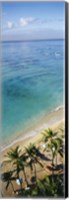 Framed High angle view of palm trees with beach umbrellas on the beach, Waikiki Beach, Honolulu, Oahu, Hawaii, USA