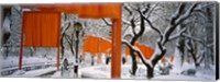 Framed Gates Project in Snow