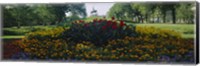 Framed Flowers in a park, Grant Park, Chicago, Cook County, Illinois, USA