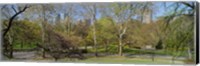 Framed Trees in a park, Central Park West, Central Park, Manhattan, New York City, New York State, USA