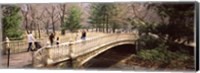 Framed Group of people walking on an arch bridge, Central Park, Manhattan, New York City, New York State, USA