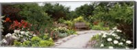 Framed Bench in a garden, Olbrich Botanical Gardens, Madison, Wisconsin, USA