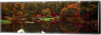 Framed Reflection of trees in water, Japanese Tea Garden, Golden Gate Park, Asian Art Museum, San Francisco, California, USA