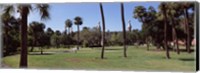 Framed Trees in a campus, University Of Tampa, Florida