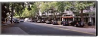 Framed Cars parked at the roadside, College Avenue, Claremont, Oakland, Alameda County, California, USA