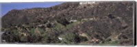 Framed Hollywood Hills, Hollywood, California