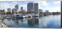 Framed Fishing boats docked at a marina, San Diego, California, USA