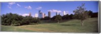 Framed Downtown skylines viewed from a park, Houston, Texas, USA