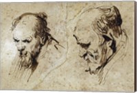 Framed Two Studies of the Head of an Old Man