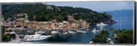 Framed Italy, Portfino
