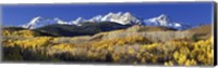 Framed USA, Colorado, Rocky Mountains, aspens, autumn