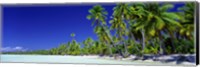 Framed Beach With Palm Trees, Bora Bora, Tahiti