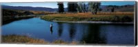 Framed Trout fisherman Slough Creek Yellowstone National Park WY