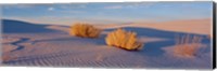 Framed USA, New Mexico, White Sands, sunset