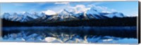 Framed Herbert Lake, Banff National Park, Alberta, Canada