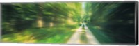 Framed Road, Greenery, Trees, Germany