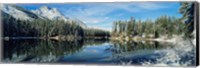 Framed Reflection of trees in a lake, Yellowstone National Park, Wyoming, USA