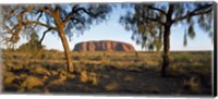 Framed Ayers Rock Australia