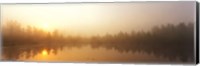 Framed Misty Morning, Volvo Bog, Illinois, USA