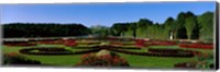 Framed Schonbrun Gardens Vienna Austria