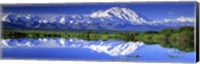 Framed Alaska Range, Denali National Park, Alaska, USA