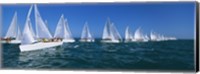 Framed Sailboats racing in the ocean, Key West, Florida