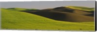 Framed Wheat Field On A Landscape, Whitman County, Washington State, USA