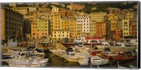 Framed Boats at the harbor, Camogli, Liguria, Italy