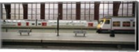 Framed Trains at a railroad station platform, Antwerp, Belgium