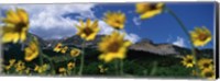 Framed Low Angle View Of Mountains, Montana, USA