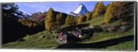 Framed Low angle view of a mountain peak, Matterhorn, Valais Canton, Switzerland