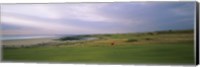 Framed Golf flag on a golf course, Royal Porthcawl Golf Club, Porthcawl, Wales