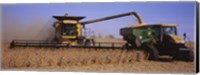 Framed Combine harvesting soybeans in a field, Minnesota