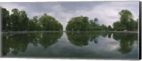 Framed Reflection of trees in a pond, Versailles, Paris, Ile-De-France, France