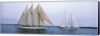 Framed Sailboats in the sea, Narragansett Bay, Newport, Newport County, Rhode Island, USA