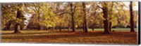 Framed Ludwigsburg Park in autumn, Ludwigsburg, Baden-Wurttemberg, Germany