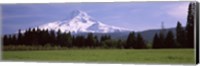 Framed Field with a snowcapped mountain in the background, Mt Hood, Oregon (horizontal)