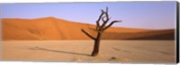 Framed Dead tree in a desert, Dead Vlei, Sossusvlei, Namib-Naukluft National Park, Namibia