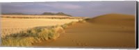 Framed Animal tracks on the sand dunes towards the open grasslands, Namibia