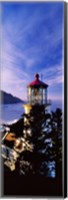 Framed Lighthouse at a coast, Heceta Head Lighthouse, Heceta Head, Lane County, Oregon (vertical)
