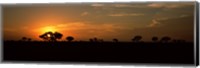Framed Sunset over the savannah plains, Kruger National Park, South Africa