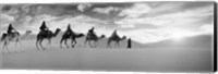 Framed Tourists riding camels through the Sahara Desert landscape led by a Berber man, Morocco (black and white)