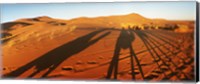 Framed Shadows of camel riders in the desert at sunset, Sahara Desert, Morocco