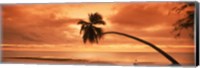 Framed Silhouette of an old palm tree on the beach at sunset, Aitutaki, Cook Islands