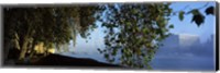 Framed Ferris wheel looking viewed through trees, Millennium Wheel, Thames River, South Bank, London, England