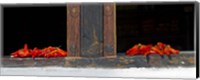 Framed Red chilies drying on window sill, Paro, Bhutan