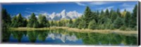 Framed Reflection of trees in water with mountains, Schwabachers Landing, Grand Teton, Grand Teton National Park, Wyoming, USA