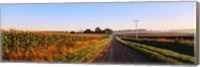 Framed Road Along Rural Cornfield, Illinois, USA
